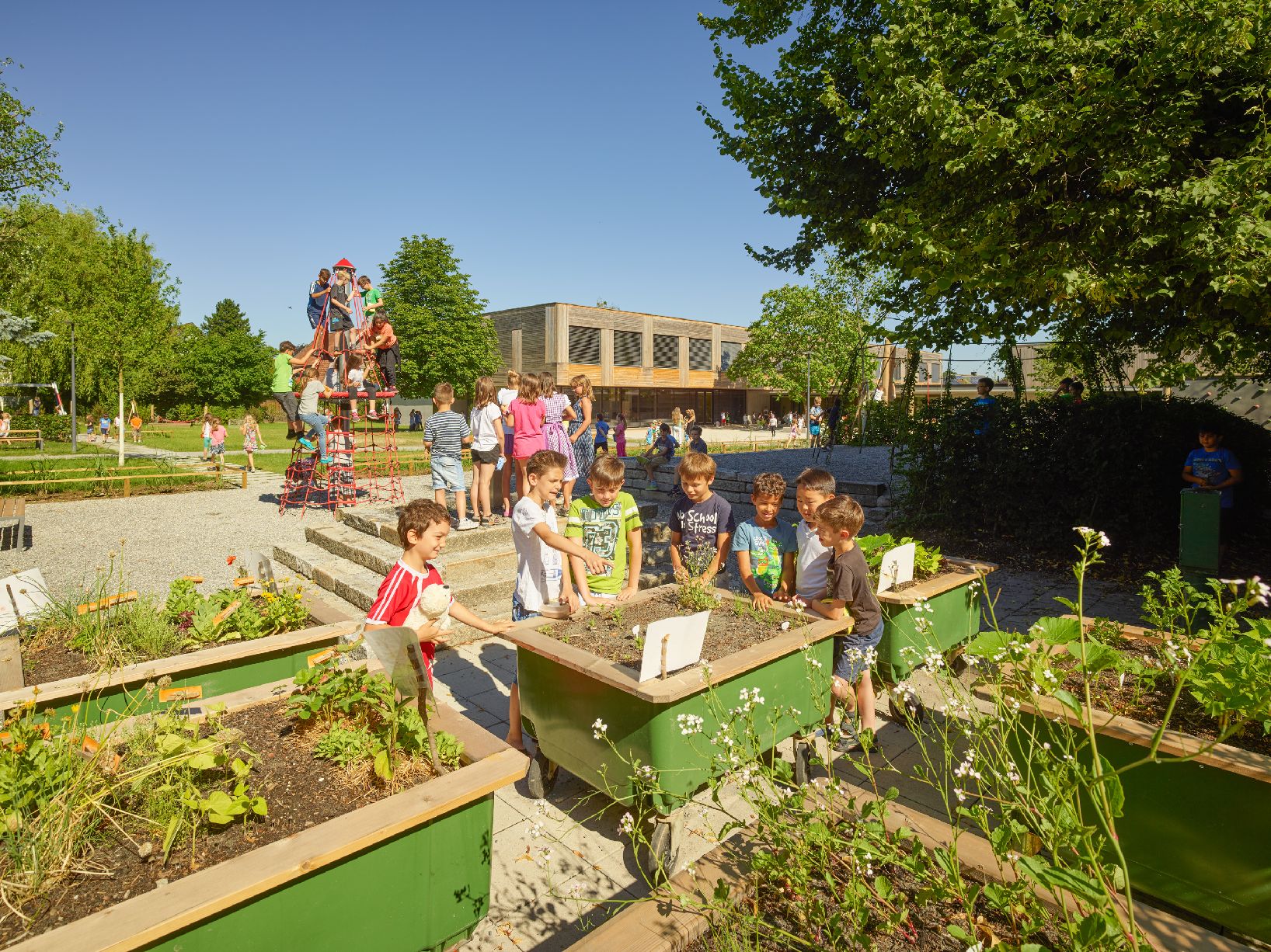 Des enfants fiasant du jardinage à l'école primaire Edlach-Dornbirn