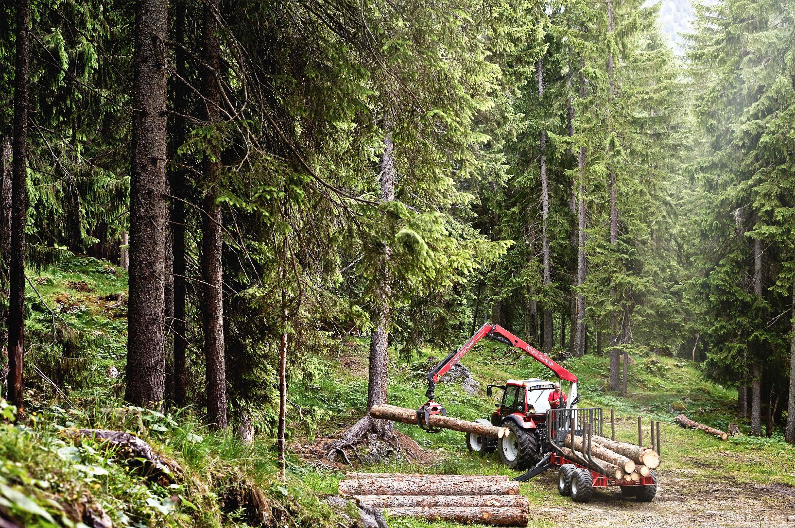 Tractor transporting logs in the woods