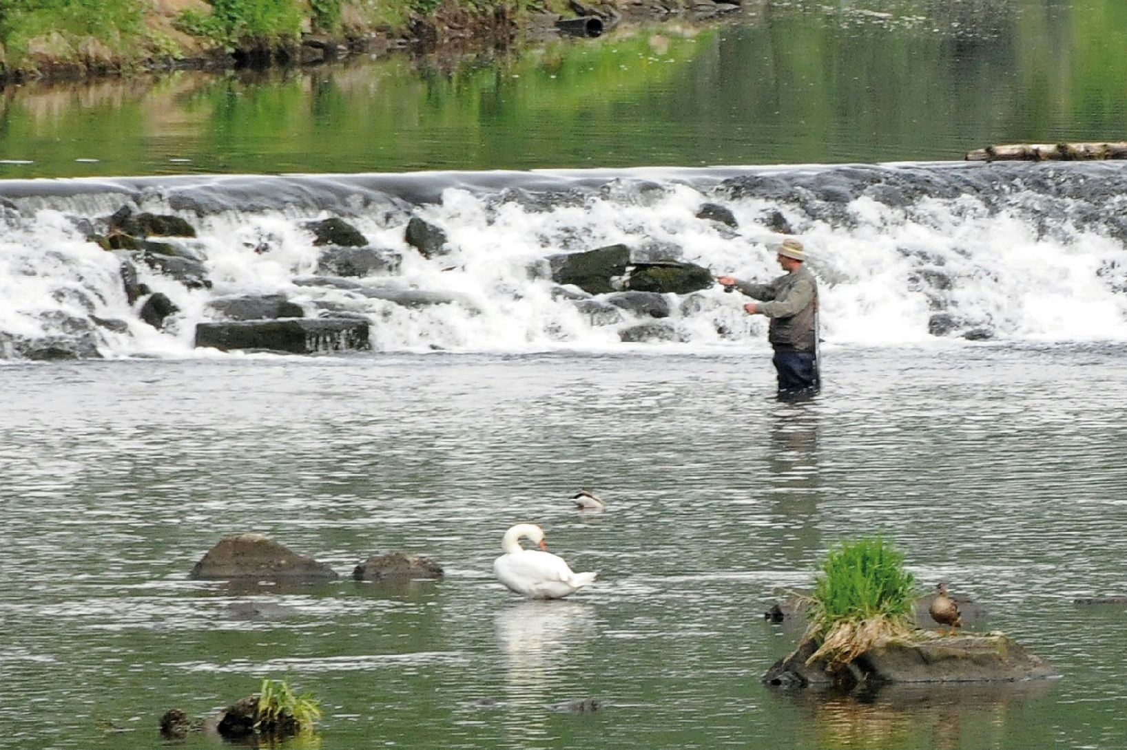 Mann fischt in der Thaya