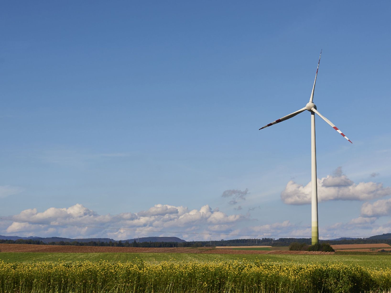 Éolienne dans un champ