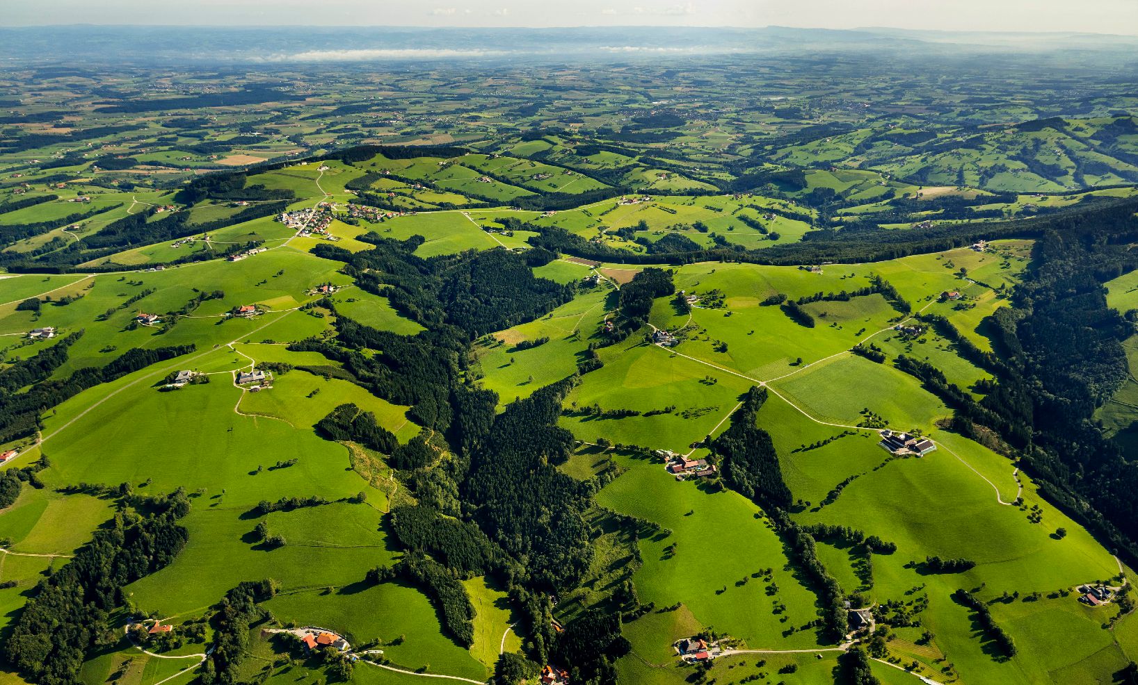 Grüne Hügellandschaft