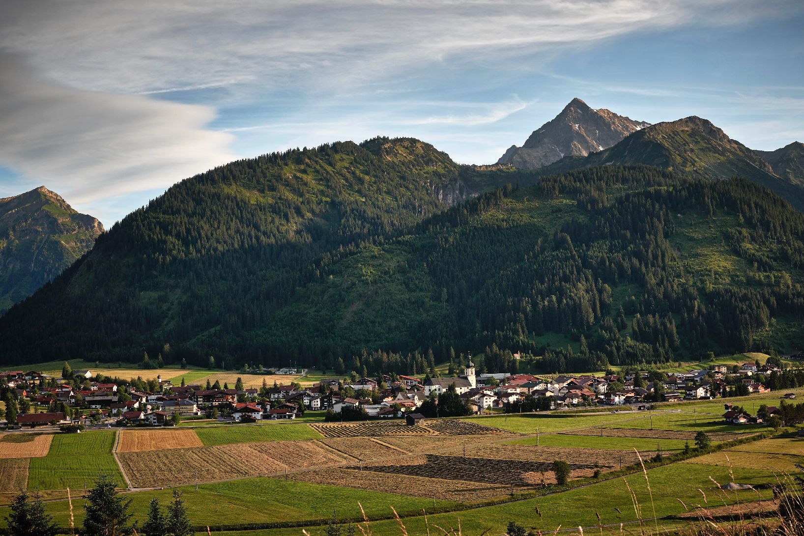 Champs et montagnes